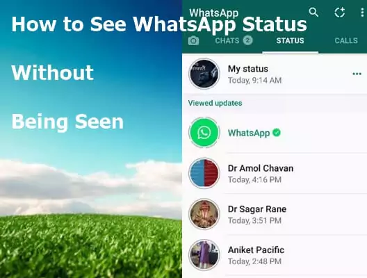 Voir un statut WhatsApp sans être vu