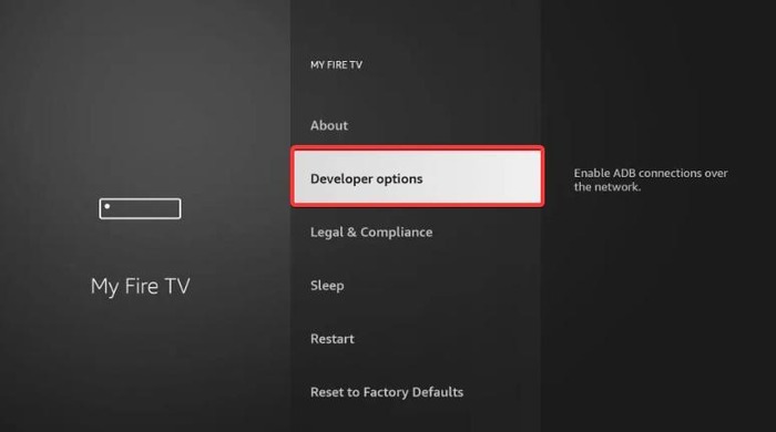 Developer options on Firestick