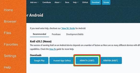 choose Kodi version for Firestick