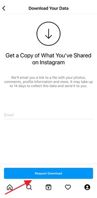 request download on Instagram