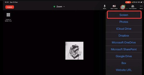 Screen option on Zoom