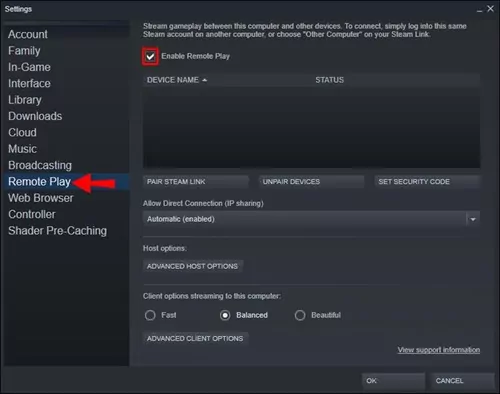 Reproducción Remota de Steam
